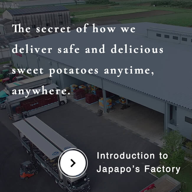 The secret of how we deliver safe and delicious sweet potatoes anytime, anywhere. Our factory